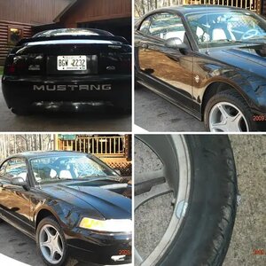 my mustang