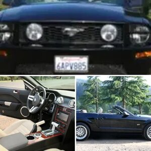 Guy's 06 Vert GT