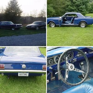 1966 Mustang