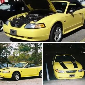 my 2000 Spring Feature Mustang