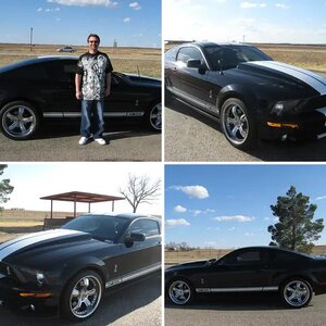 2007 Ford Shelby GT500