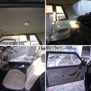 Progress Pictures