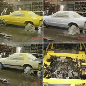 Project 81 Hack Job