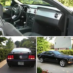 my mustang