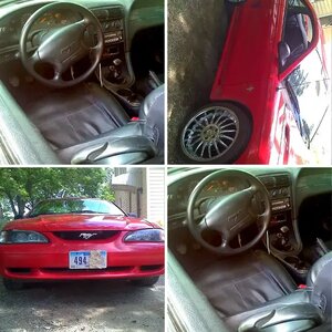 Mustang (taken with phone)