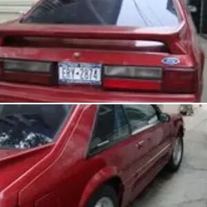 my stang