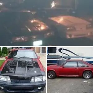 my old stang