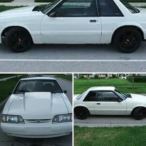 MY STANG