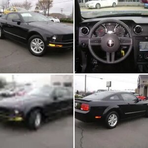My Stang