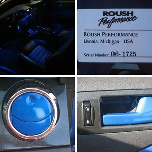 2006 Vista Blue Roush