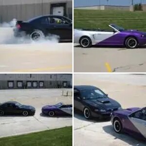 our stangs