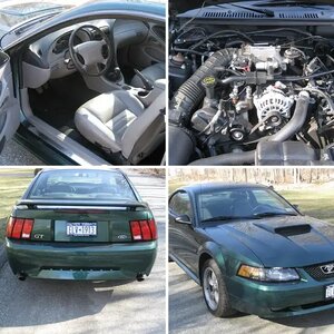 my 1st stang