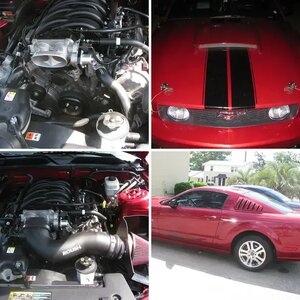 My mustang ^^