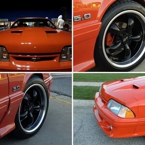 My Stang