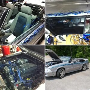 89 5.0 gt vert