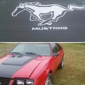 Mustang