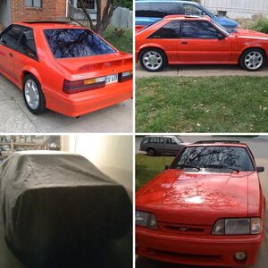 1993 Cobra #2098