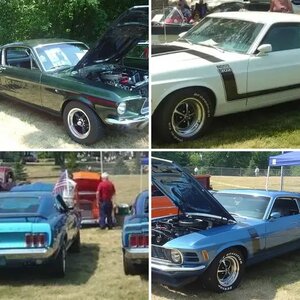 Car show Mustangs