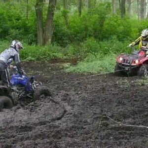 quads