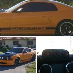 2005 MUSTANG GT