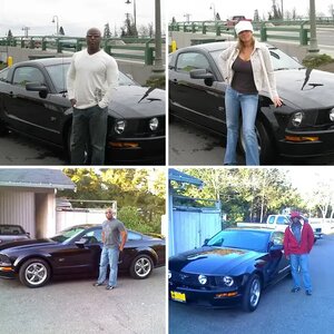 My Stang