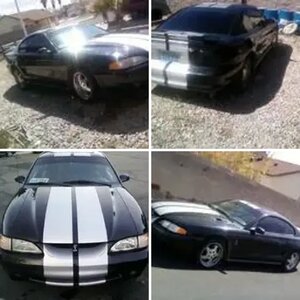 My Cobra