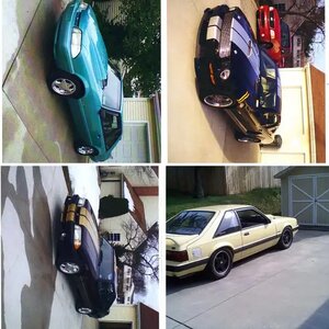 Mustangs i own or did own.