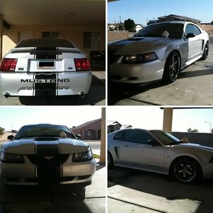 My Stang