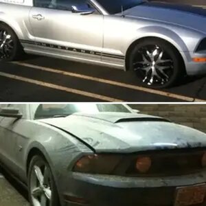 Stangs at the ready