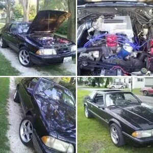 My Project Pony