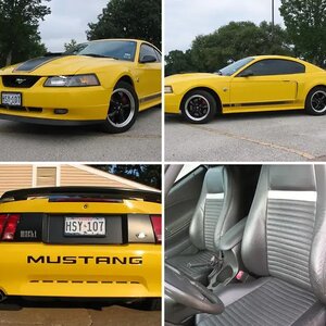 2004 Mach 1