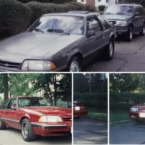 MY STANGS