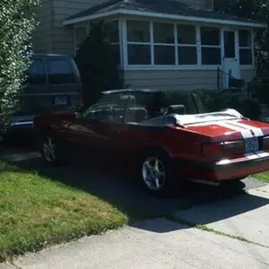 Other pics