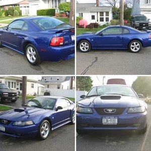Sonic The Mustang
