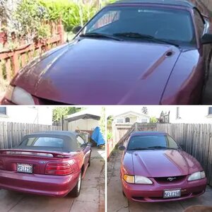 1994 Mustang Vert Iris