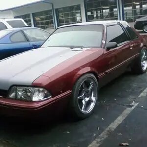 paint progress