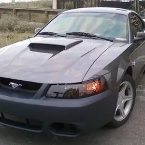 My Mustang