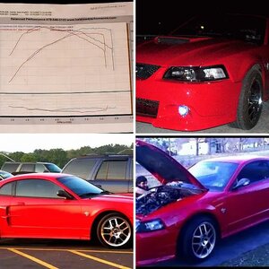 The Stang