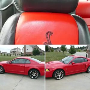 03 10th Anniv Cobra