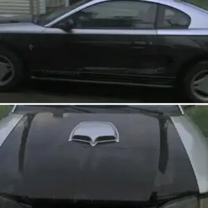 new stang
