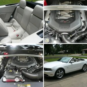 2011 GT Premium Convertible