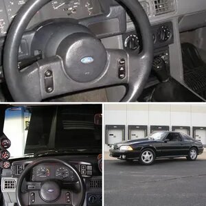 My stang