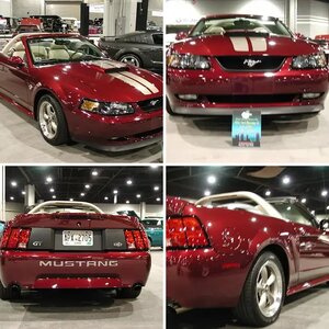 TT's 40th Anniversary GT