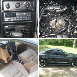 1998 DGS MUSTANG GT
