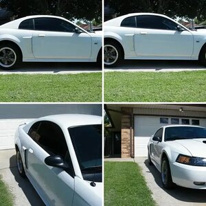 Fresh window tint