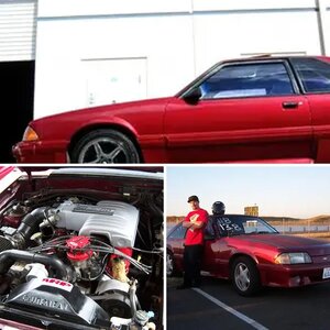 current stang