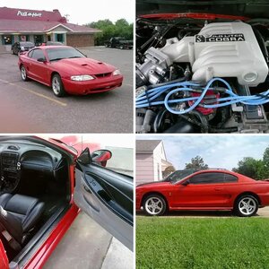 95 Cobra SVT