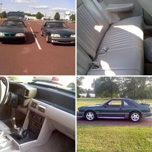 91 gt