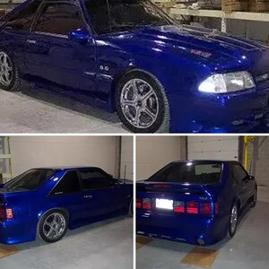 my stang