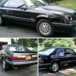 MY black 86 5.0